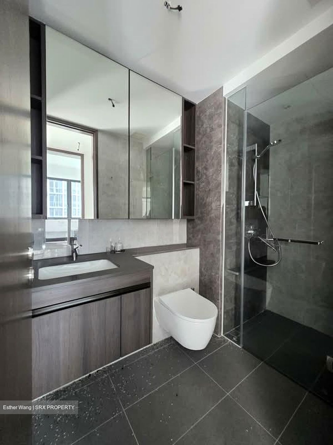 Tembusu Grand (D15), Condominium #577780301
